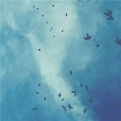 BSport·APP在线登录手机app下载