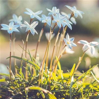 盈彩网下载手机版