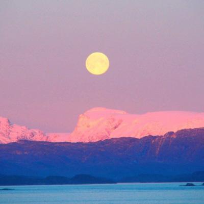 开云体云app下载手机版截图