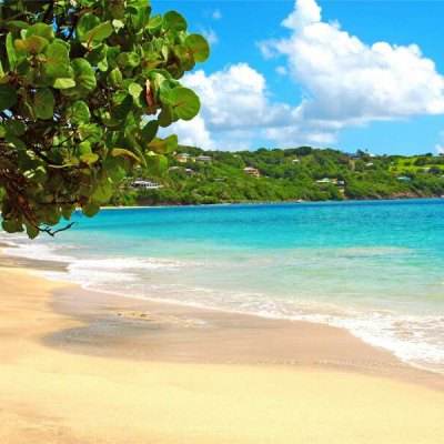 皇冠体育安卓app