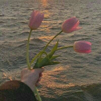 皇冠APP官方版下载安装