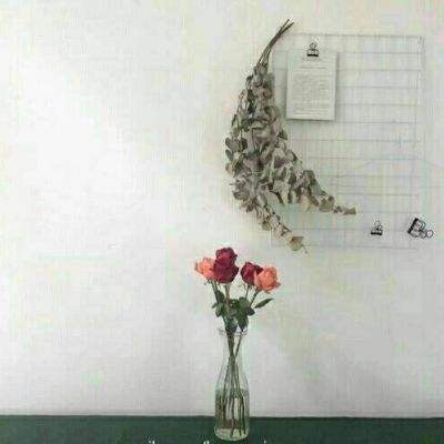 金沙8888js官方手机app下载