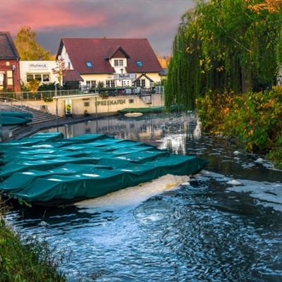 星空app官方网页截图